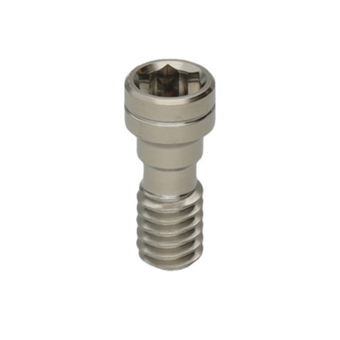INTERNAL DYNAMIC SCREW NP, RP, WP