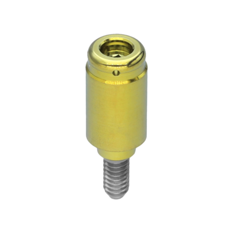 INTERNAL LOCATOR PILLAR RP H6.0
