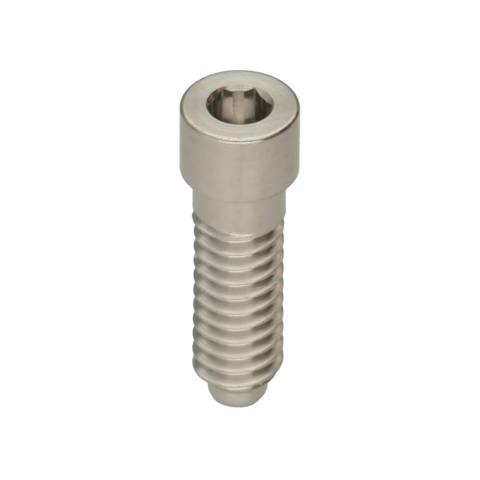 STRAIGHT SCREW EXTERNAL HEXAGON RP