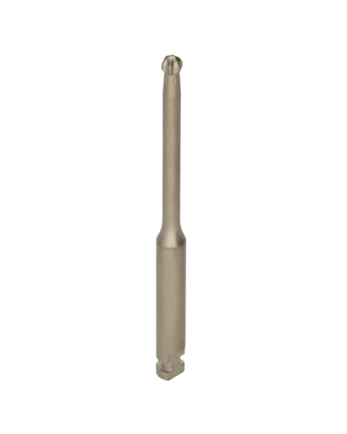 PUNTA DINÁMICO H30 TORX T6