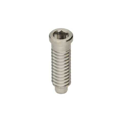 TORNILLO RECTO TSH® S2