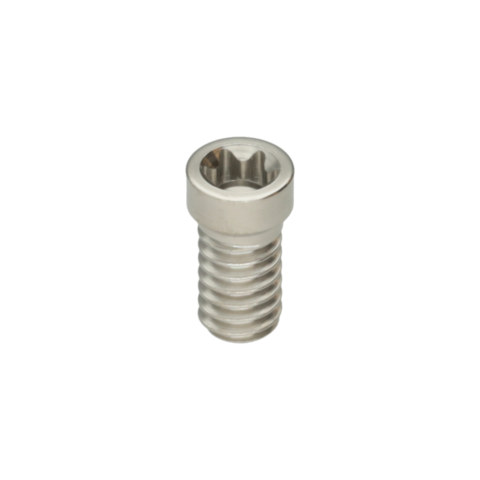 SYNOCTA® RP STRAIGHT SCREW