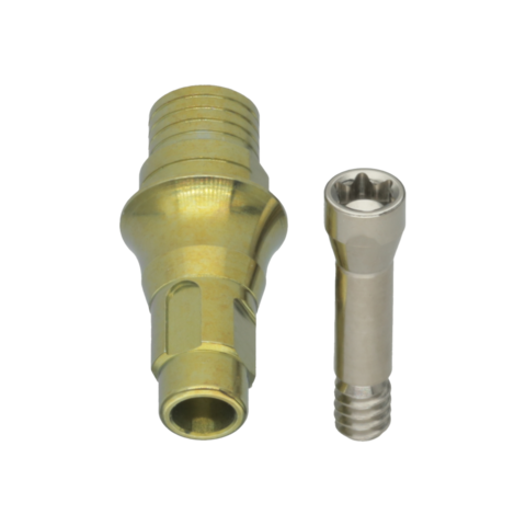 STRAIGHT INTERFACE BONE LEVEL® RC Ø 4.1 H2.0