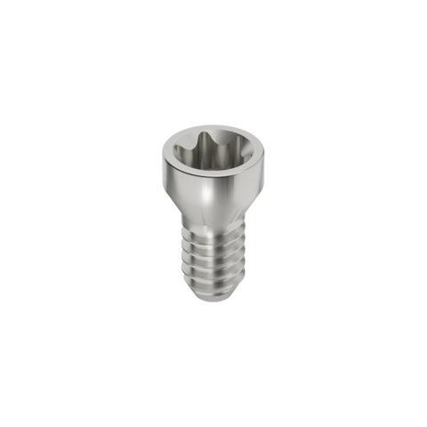 TORNILLO RECTO SRA 4.6 NP